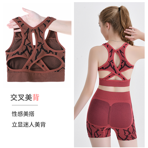 新品推荐二十